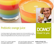 DOMO - Friesland ...